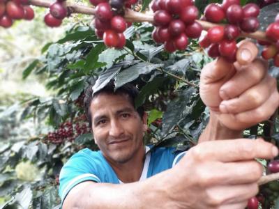 Hoe gaat nu met de koffieboeren in coronatijd? 