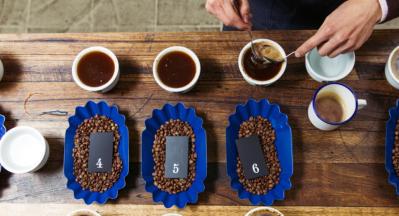 Ontdek de kunst van koffie proeven! Een gids voor beginners