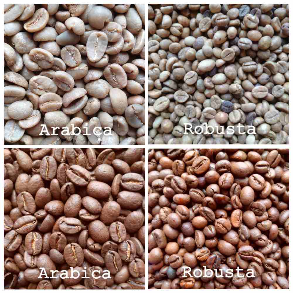 Kaan Koffie - arabicabonen - robustabonen
