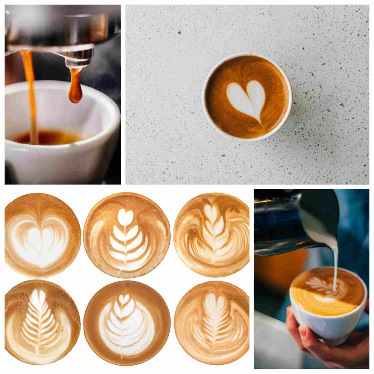 Kaan Koffie - Latte Art